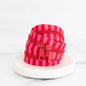 30" Zipper in Jam Stripe by Stitch Supply