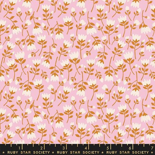 Verbena "Berben Roses" in Peony by Ruby Star Society