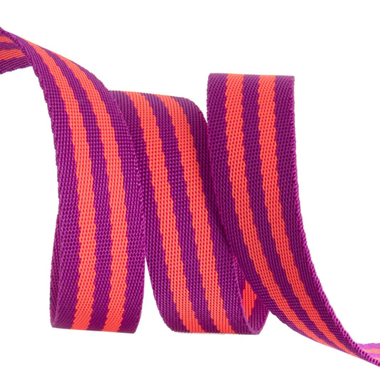 1" Nylon Webbing in Watermelon and Plum Slushy by Tula Pink